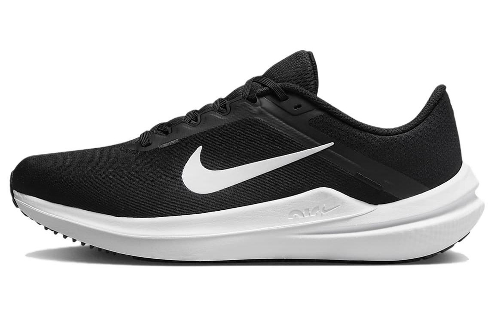 Кроссовки Nike Air Winflo 10