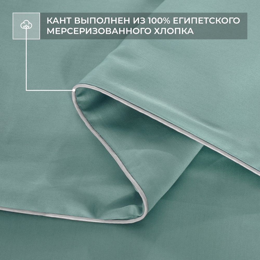 Комплект постельного белья Однотонный Сатин Премиум OCP003