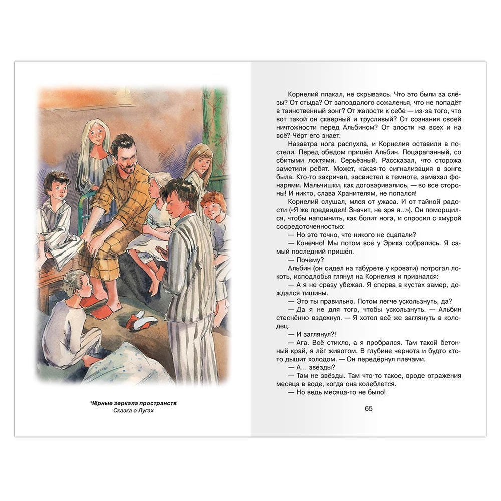 Крапивин В. Гуси-гуси, га-га-га…