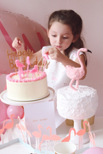 Let’s Flamingo!