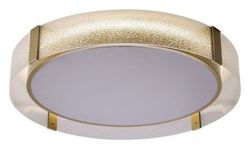 Накладной светильник Zortes Gerda ZRS.1097.60