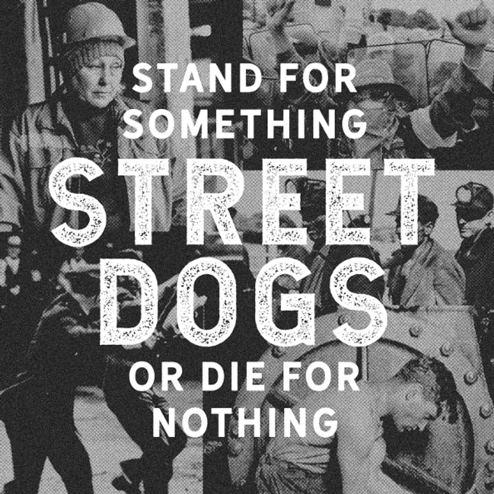 Street Dogs / Stand For Something Or Die For Nothing (LP+CD)