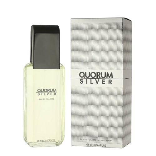 Мужская парфюмерия Antonio Puig EDT Silver Quorum 100 мл