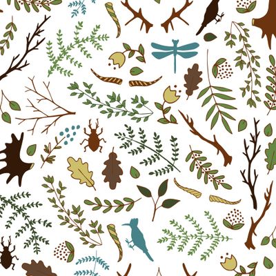 Лесные сокровища