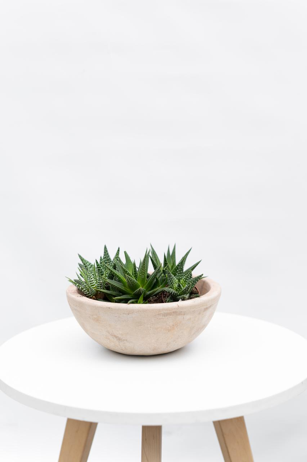 Кашпо Terra Circle