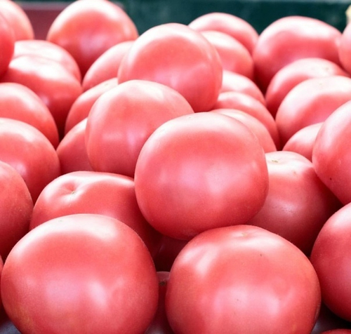 Помидоры Розовые