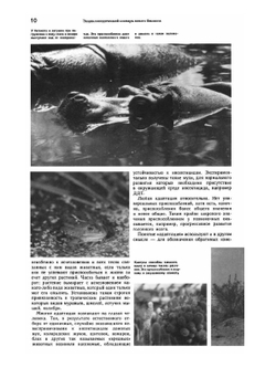 Энциклопедический словарь юного биолога | Нет автора