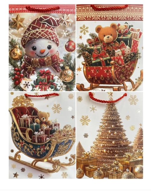 ПАКЕТ ПОДАРОЧНЫЙ Н1950 26*32 12 ШТ.