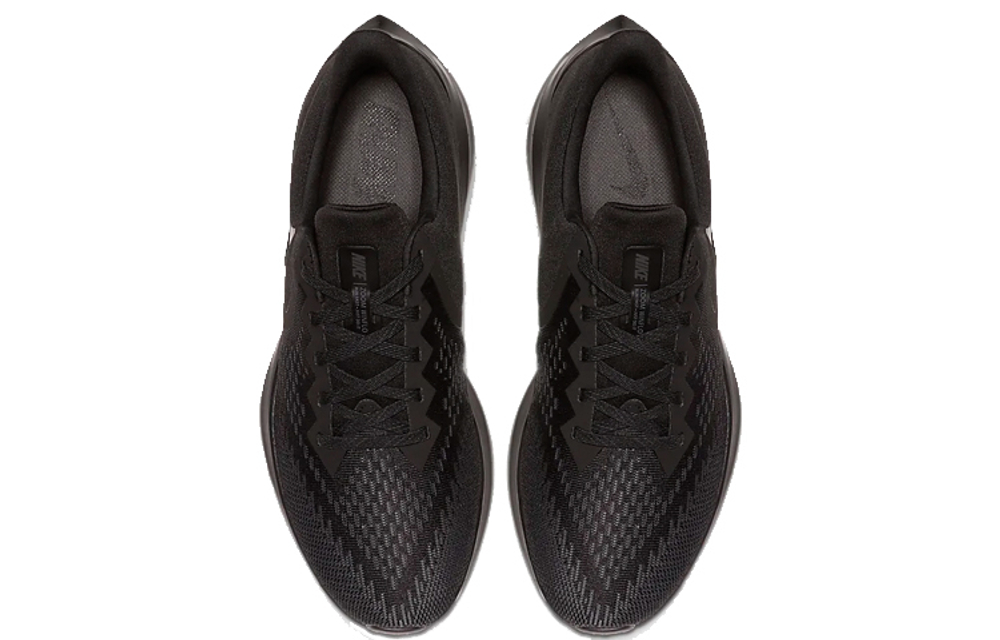 Кроссовки Nike Zoom Winflo 6