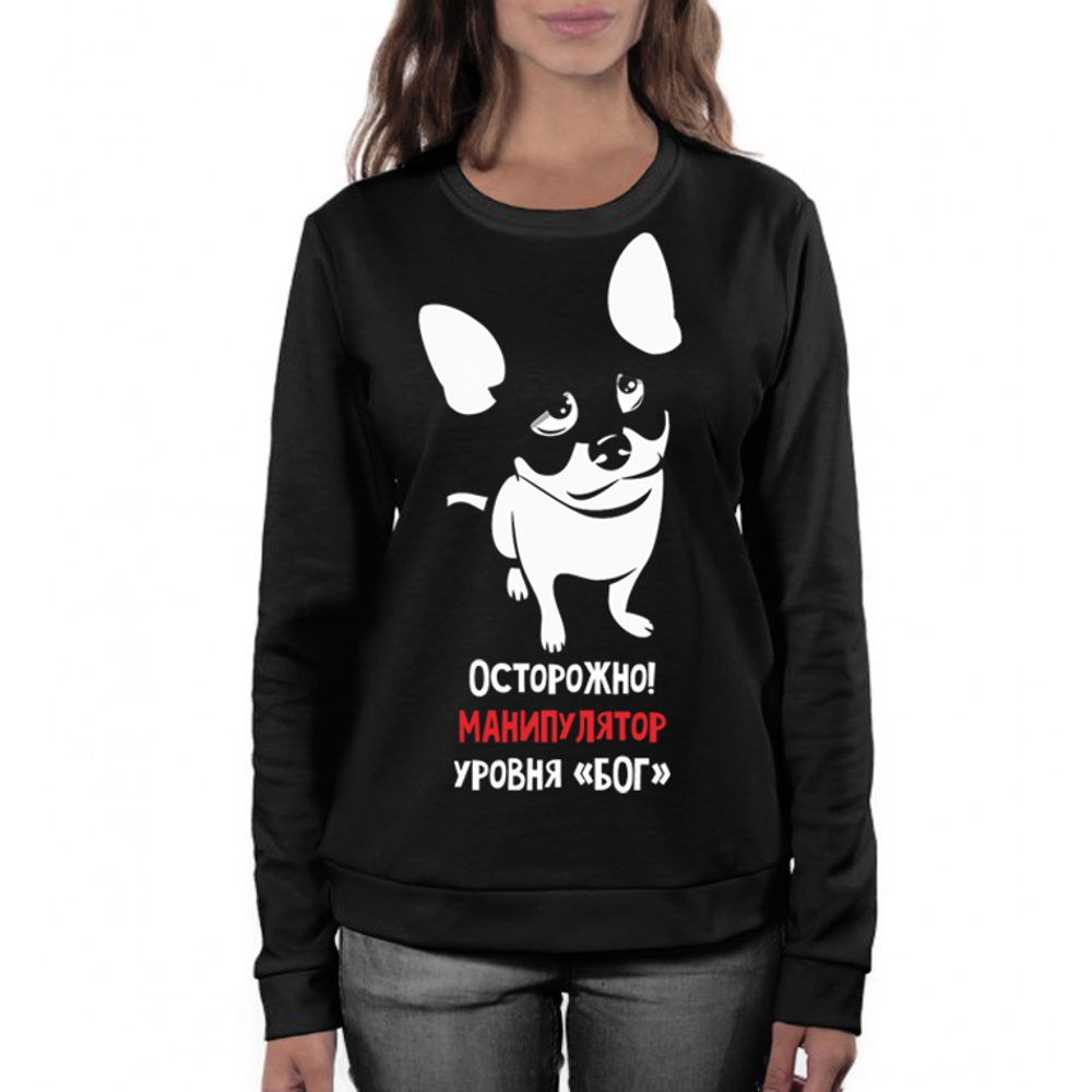 Свитшот "Чихуа - манипулятор"