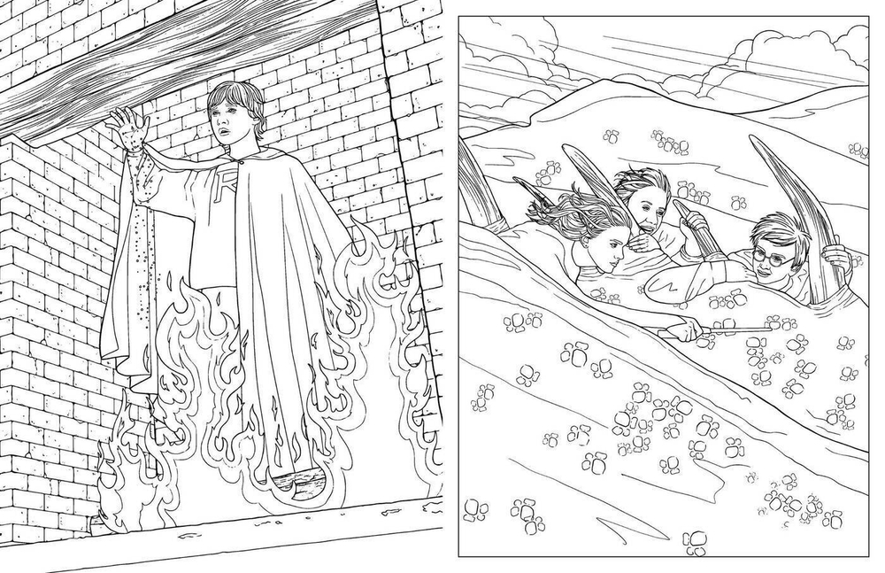 Hachette  раскраска по номерам  Coloriage Harry Potter  - Voyages Magiques