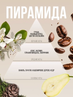 Отдушка парфюмерная Prof-Royal OPALE NOIRE, груша, кофе, жасмин, прозрачная, жидкая, 5мл