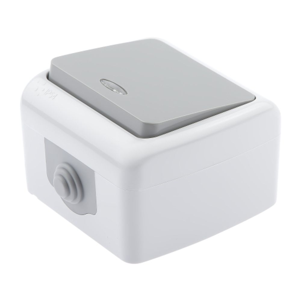 Выключатель Intro Atlantic 5-102-03 с подсветкой, 10А-250В, IP54, открытой установки, серый | Intro