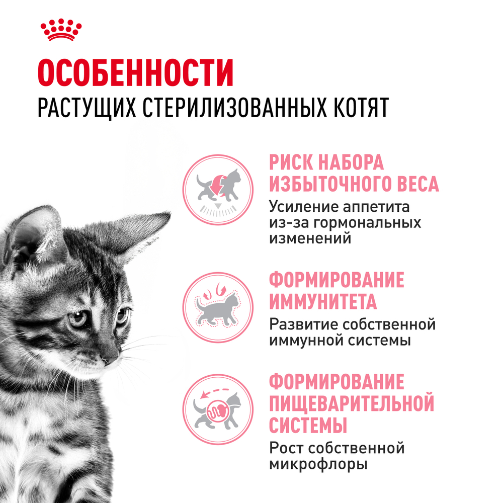 Сухой корм ROYAL CANIN Kitten Sterilised для стерилизованных котят с момента операции до 12 месяцев - 2 кг