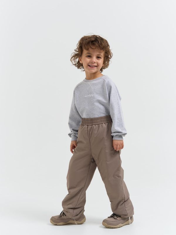 Брюки демисезонные 