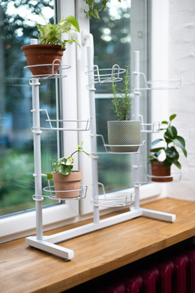 Сад на окне. Композиция №3