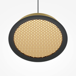 Подвесной светильник Maytoni MOD041PL-L15G3K