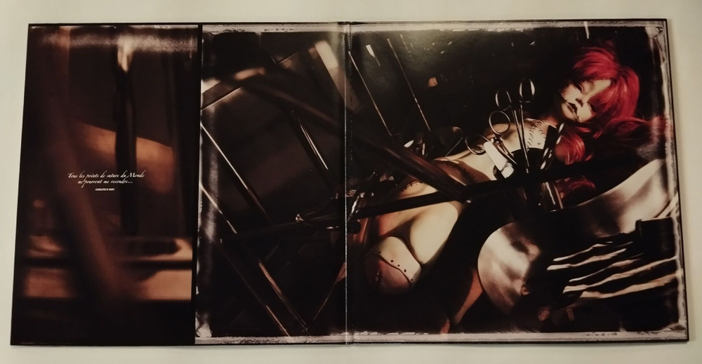 Винтажная виниловая пластинка LP Mylene Farmer Point De Suture (France 2008)