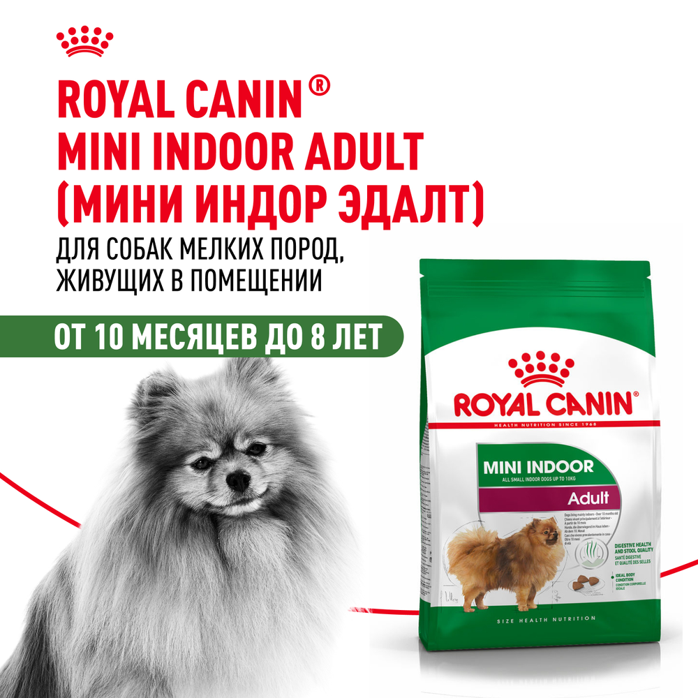 Royal Canin Mini Indoor Adult Мини Индор Эдалт Корм сухой для взрослых собак мелких пород в возрасте от 10 месяцев живущих в помещении 3кг