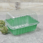 Парник для рассады 1 место, 21*16*6,5см