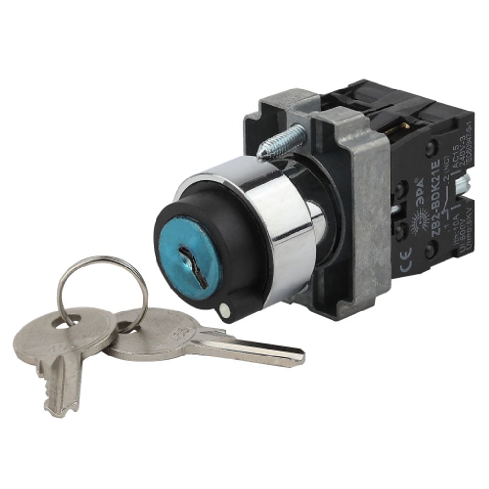 Переключатель ЭРА BSW80-BG-2-K02E LAY5-BG45 на 2 положения с ключом без фиксации | Электротовары