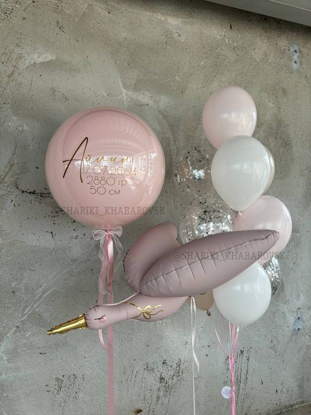 Воздушные шары на выписку для девочки №8062