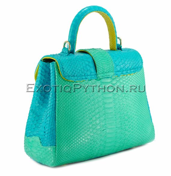 Сумка из кожи питона BG-303