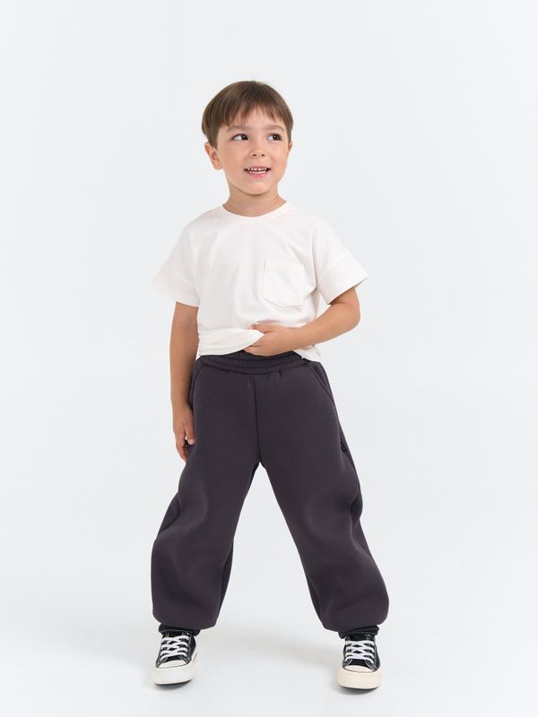 Джоггеры оверсайз 