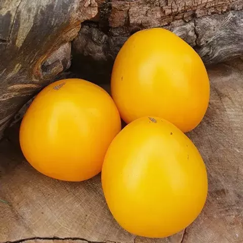 Сердце Мексики
