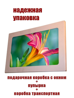 Модульная стеклянная интерьерная картина /Фотокартина на кухню /Летнее настроение /Цветы, 28x40 (зеленый / розовый)