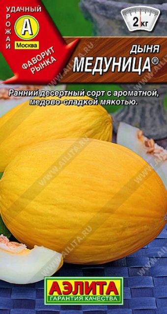 Тыква, дыня