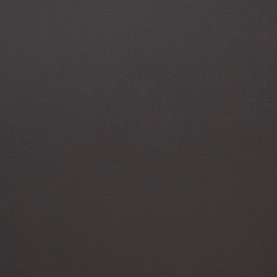 Искусственная кожа Grifon (Грифон) 12