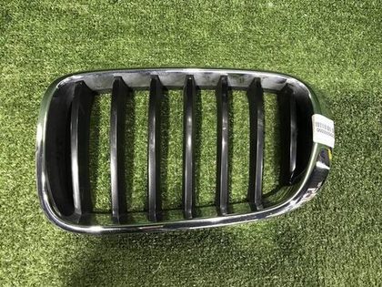 Решетка радиатора левая BMW X3 F25, X4 F26 (2014-2017)