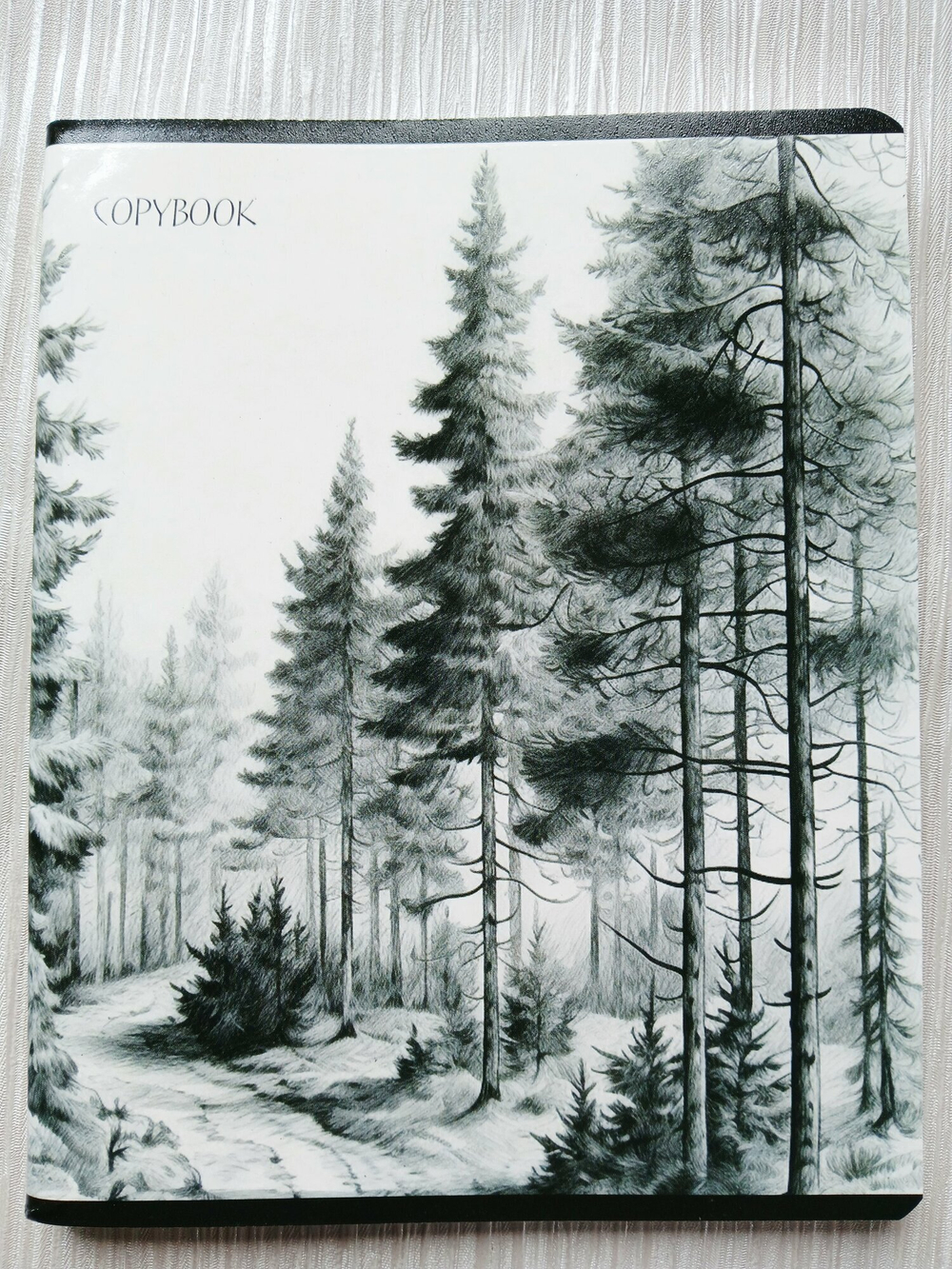 Тетрадь 96 листов А5+. "Просторы Родины", общая, в клетку. Формат А5+ (163*203 мм). Арт.120028. С полями. Комплект 5 шт.