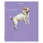 Тетрадь 18 л. BRAUBERG линия, обложка картон, "СОБАЧКИ", 106481, 5шт