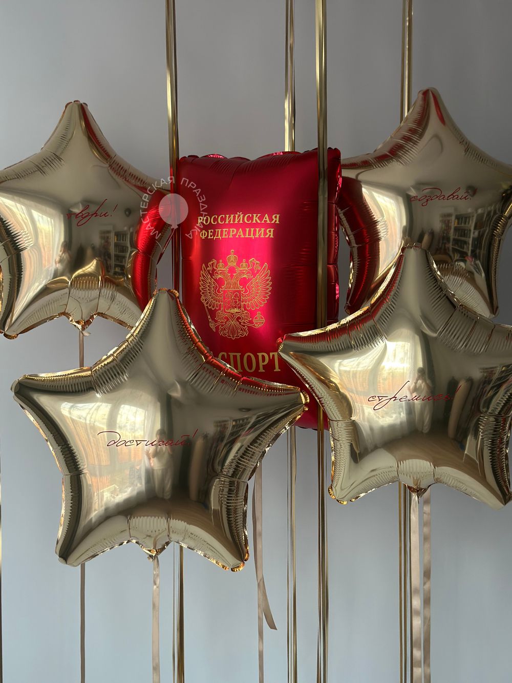 Воздушные шары Паспорт №8816  Изображение2