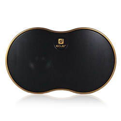 NIMBO-14 (Gold) ecler двухполосная акустическая система