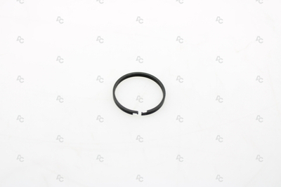 AG4.SSR01 ŽIEDELIS ACE