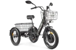 Электротрицикл Green City e-ALFA Trike
