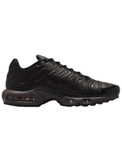 Кроссовки Nike Air Max Plus Premium Paris