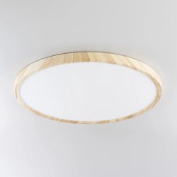 Citilux БейсикCL738322V LED Светильник накладной Клён