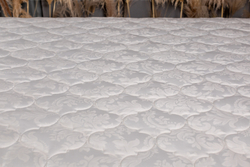 Тонкий матрас MaterLux NATURAL FOAM SOLIDO (НАТУРАЛ ФОАМ СОЛИДО 6) 6