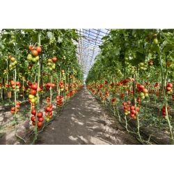 Дождеватель для полива GF GF80005670 круговой и секторный с турбиной для огорода 4 JET LIFT