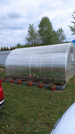 Теплица Агросфера-Престиж 4м 3х2 см (шаг 67см)Т/АП/1