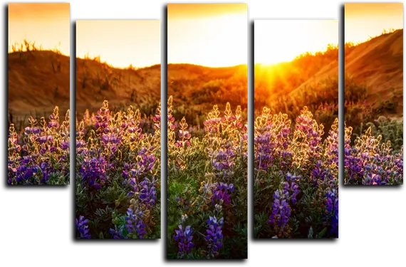 Модульная картина "Начало солнечного дня"