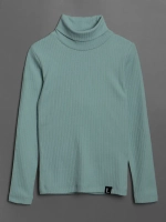 Водолазка для мальчика на осень школьная