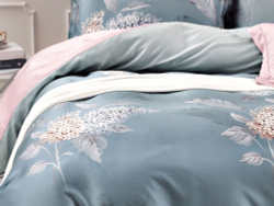 Постельное белье 2 спальное евро Asabella 1584-6