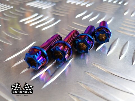 ТИТАНОВЫЙ БОЛТ M8 x 25 [ 2 шт ] ( для крепления суппорта ) DIO (ДИСКОВЫЕ ТОРМОЗА)