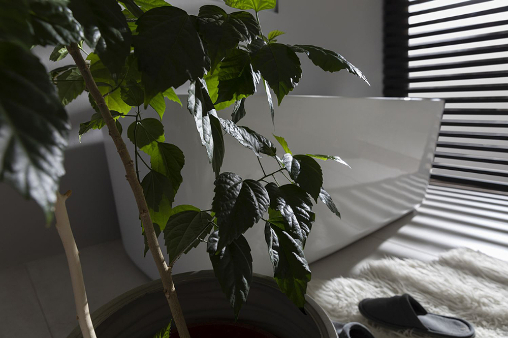 Акриловая ванна Allen Brau Infinity 3 170x78 2.21003.20 Белый глянец