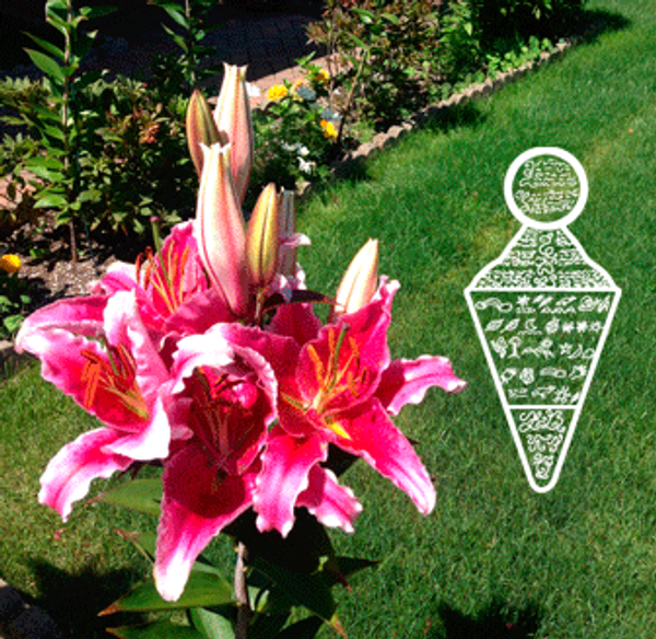 Церемония Устранения Альтернативных Реальностей Церемония Устранения Альтернативных Реальностей